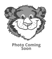 Photo of Amy Ludlow Photo of Amy Ludlow